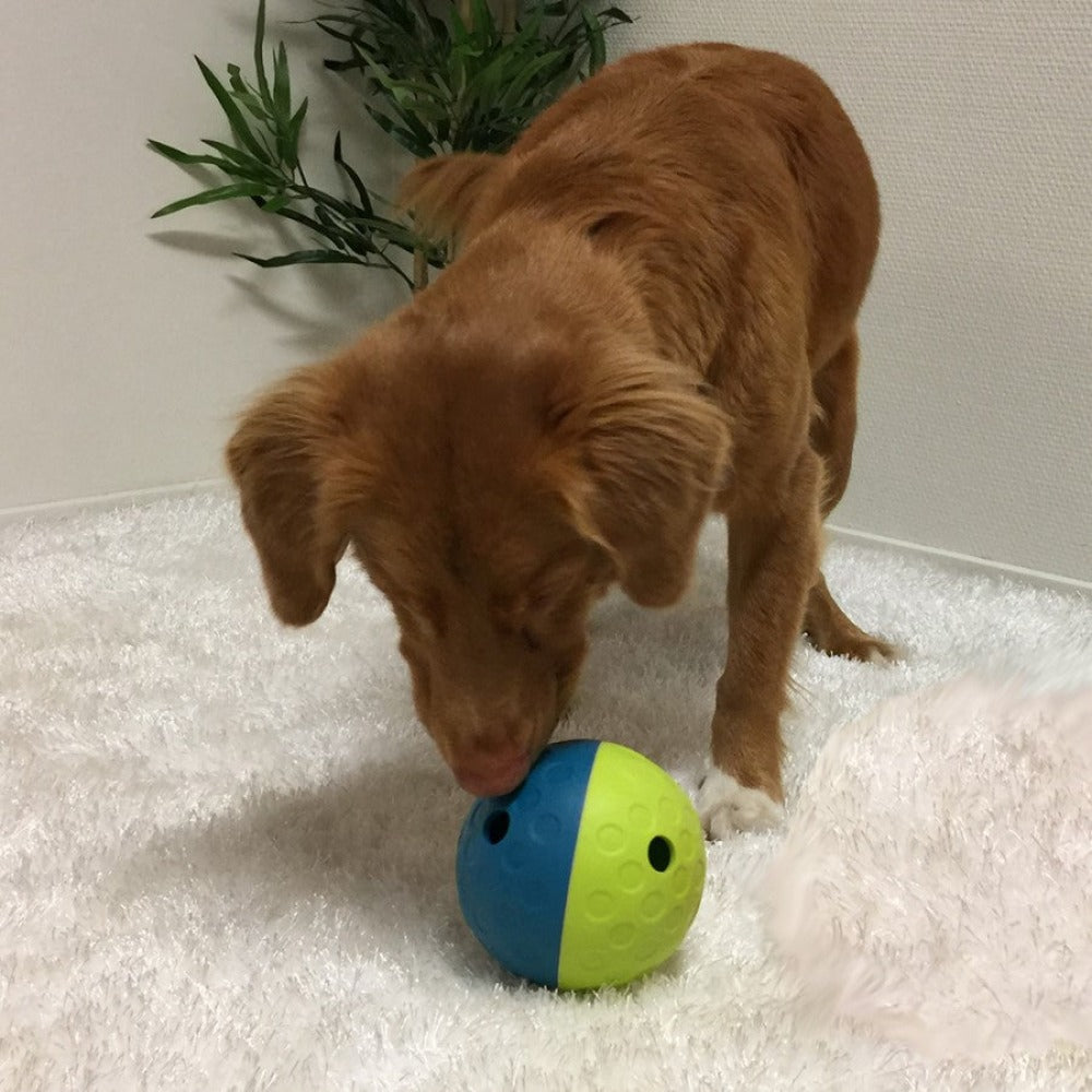Treat Tumble Interactive Dog Puzzle Green