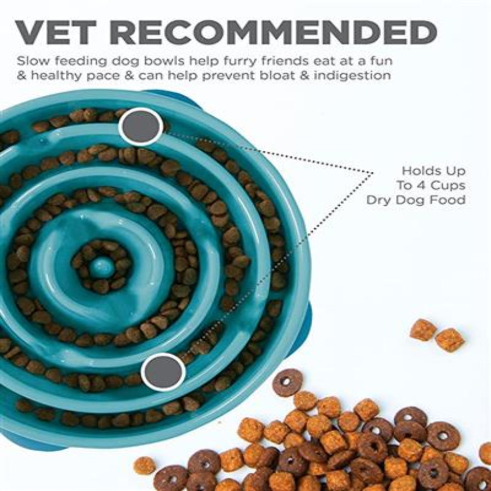 Outward Hound Fun Feeder Turquoise