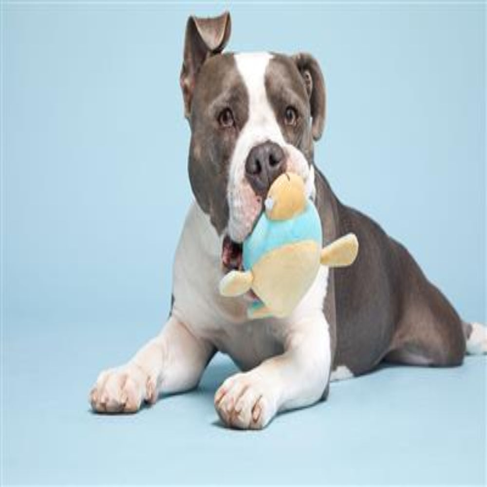 BARK "Wallace the Walrus" Plush Toy