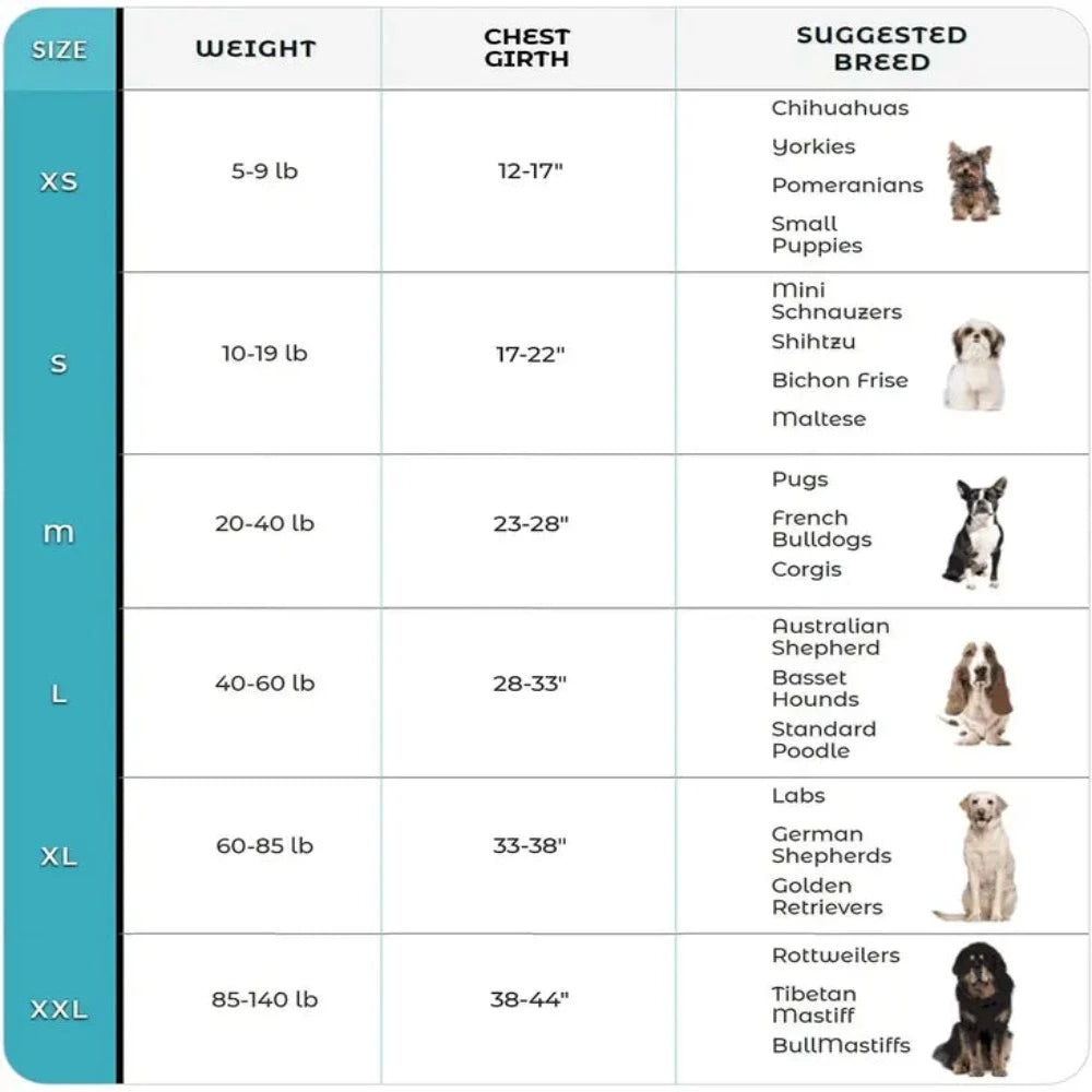 Joyride Star Pink Harness