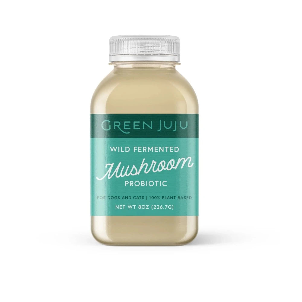 Green JuJu Fermented Mushroom Probiotic