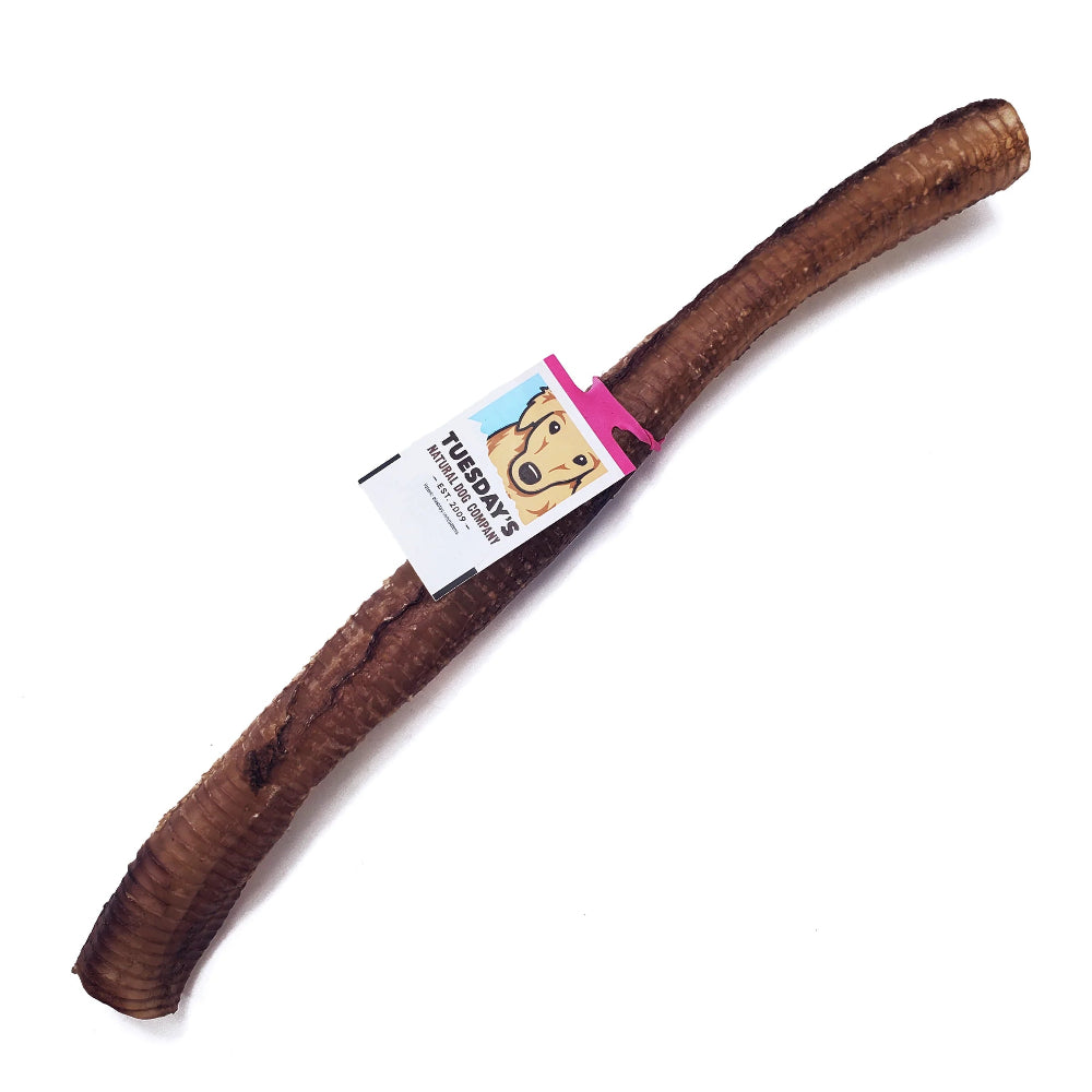 The Natural Dog Company Ostrich Trachea