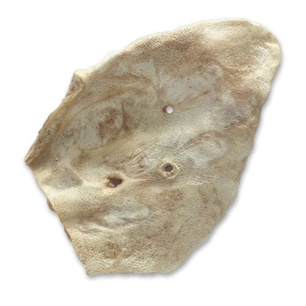 Bones & Co Pig Ear 1pc