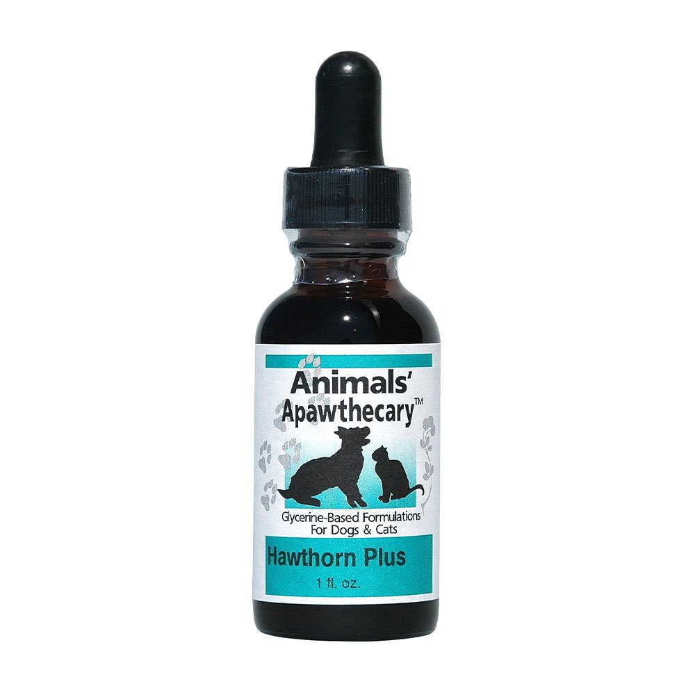 Animal Essentials Heart Health & Cardiovascular Support