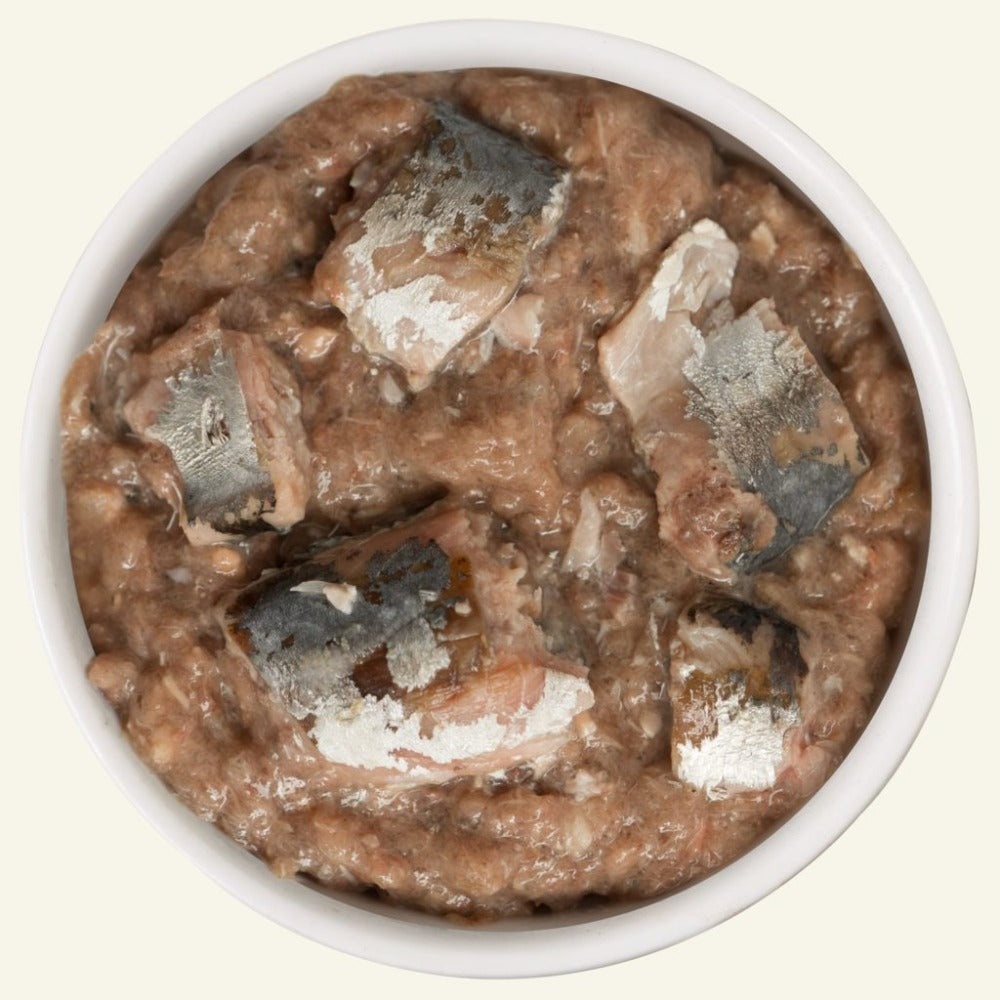 Weruva CITK "Kitty Gone Wild" with Salmon Au Jus Can