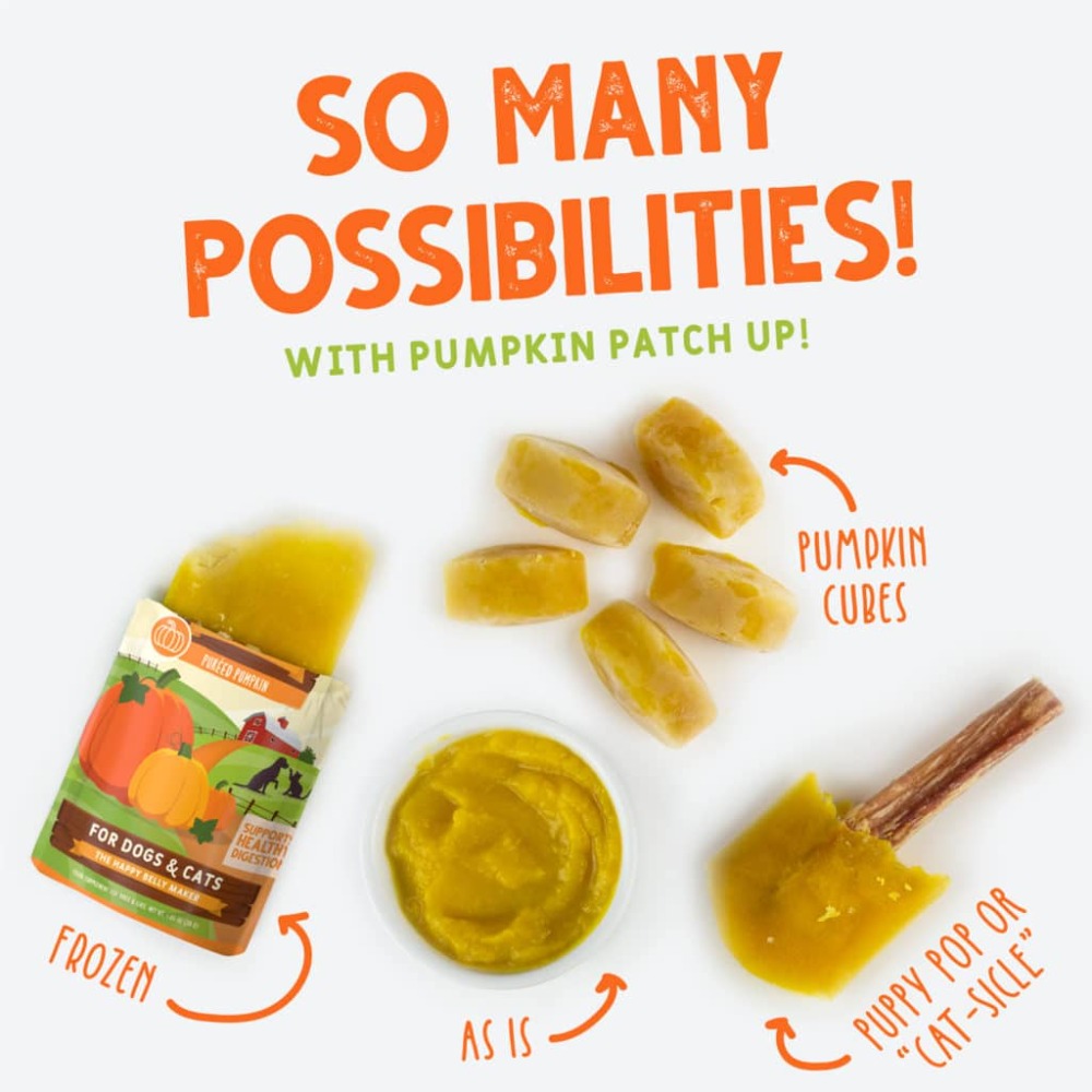 Weruva "Pumpkin Patch Up" Pouch 2.8oz