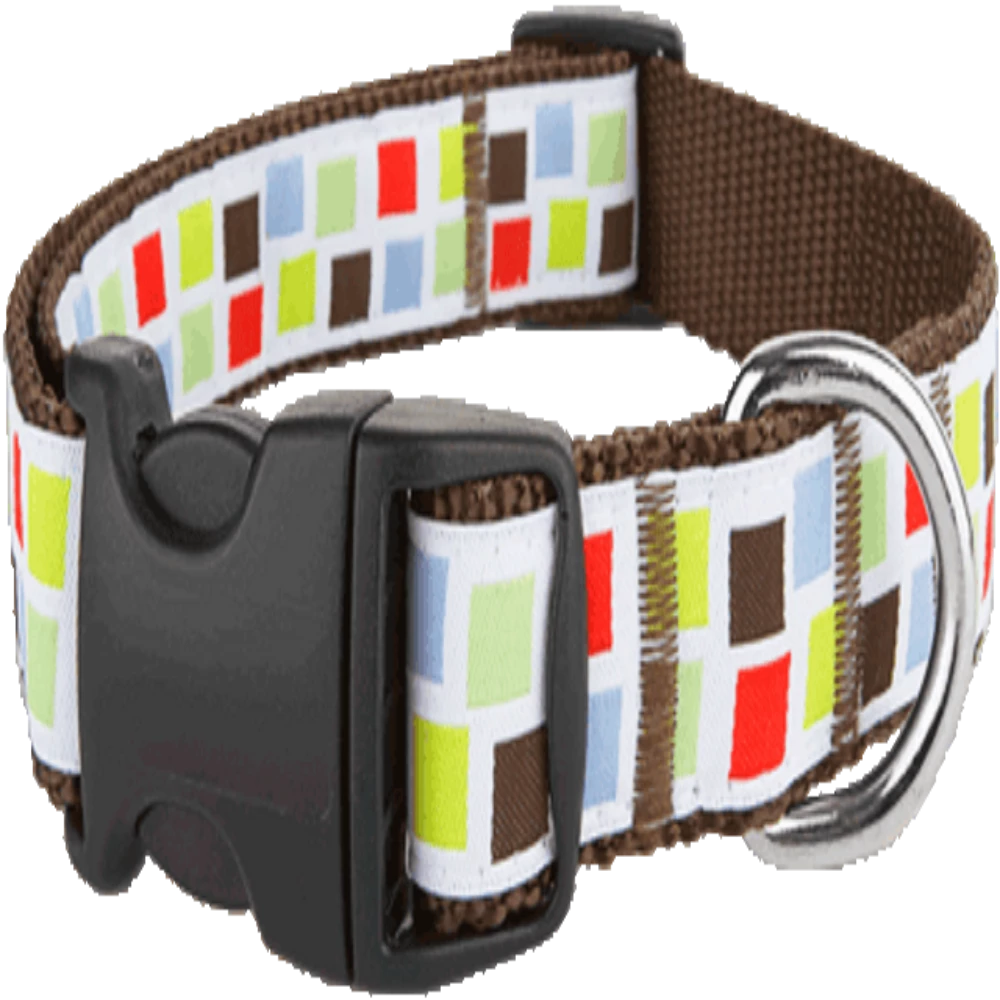 Paw Paws "Block Party" Collar