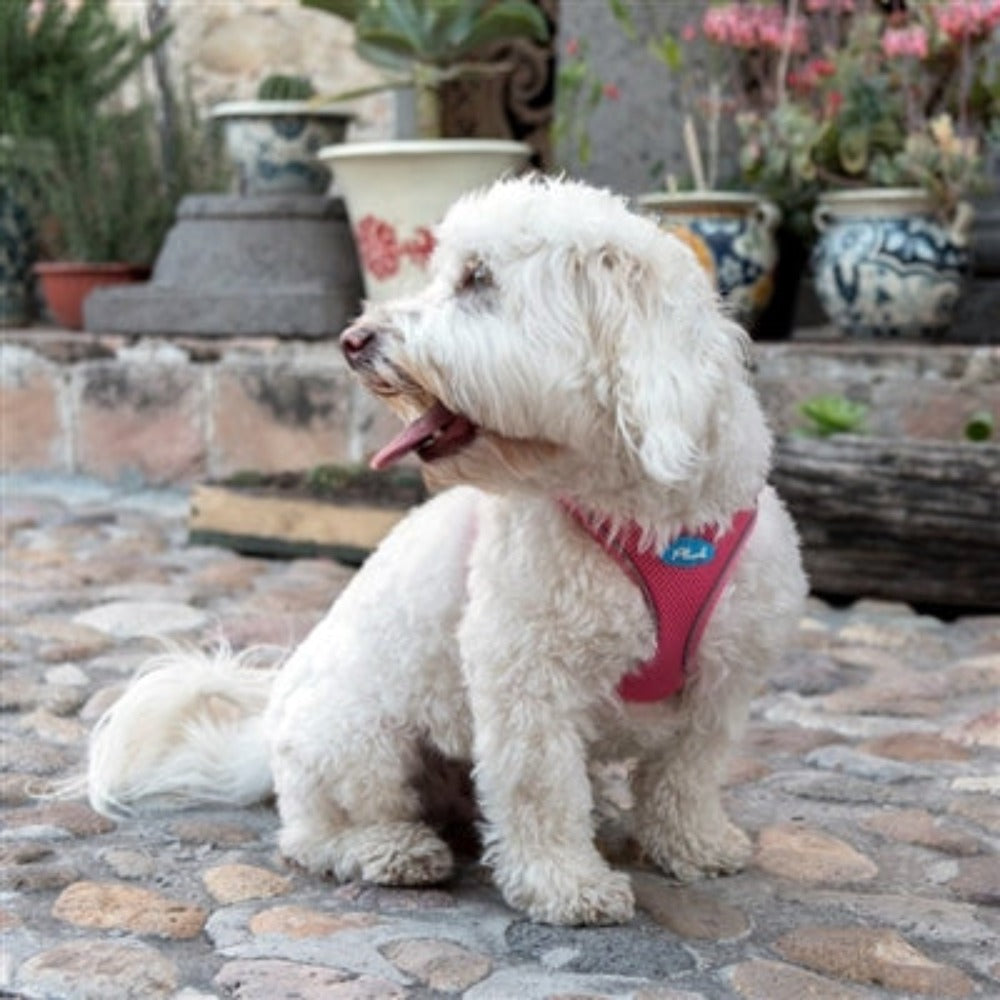 Plush Step In Harness Bubblegum Pink