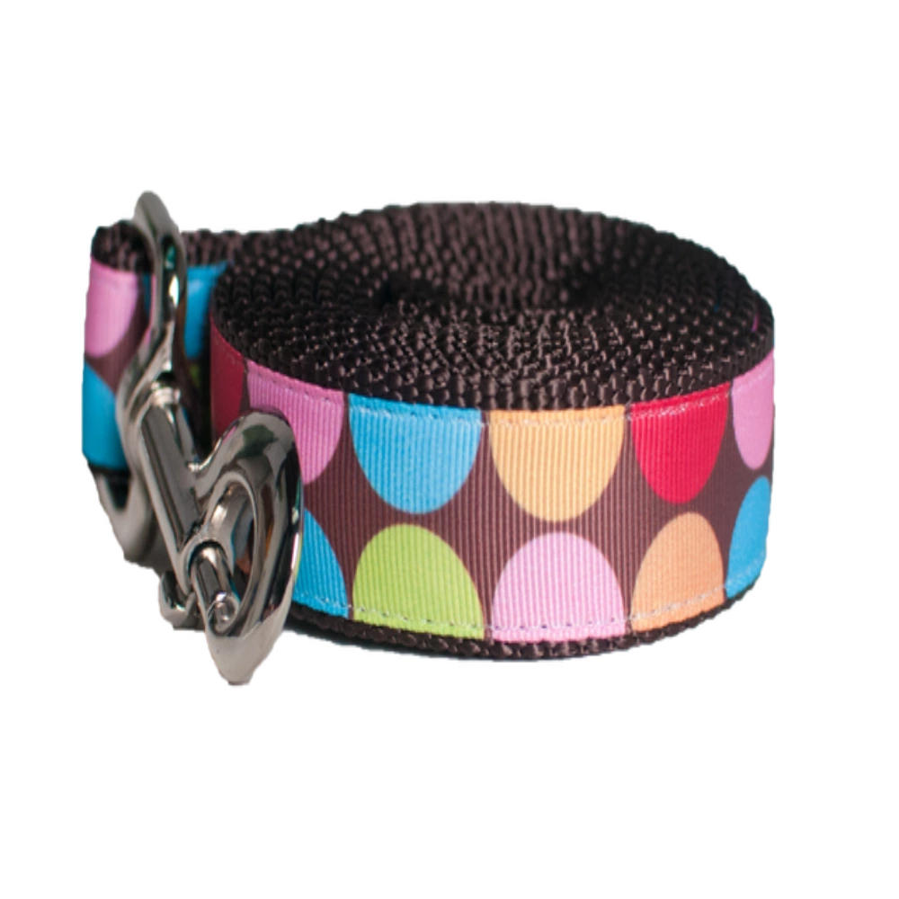 Paw Paws "Craft Fair" Leash