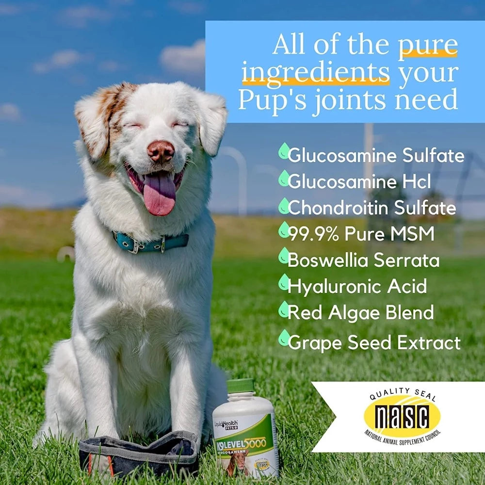 Liquid Health K9 Level 5000 Concentrated Glucosamine