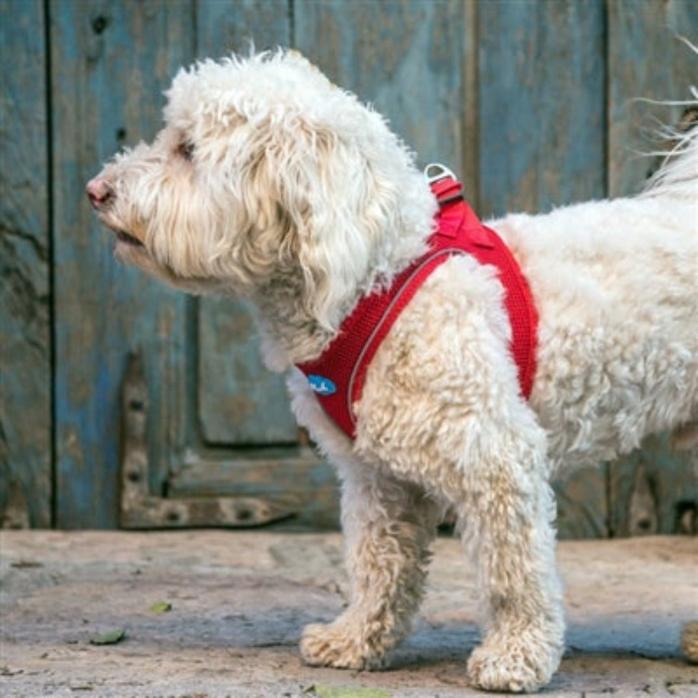 Plush Step In Harness Red