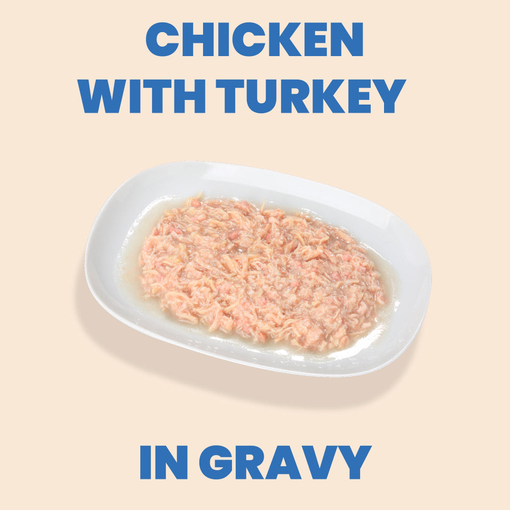 Almo Cat Complete Chicken w/Turkey in Gravy 2.47oz