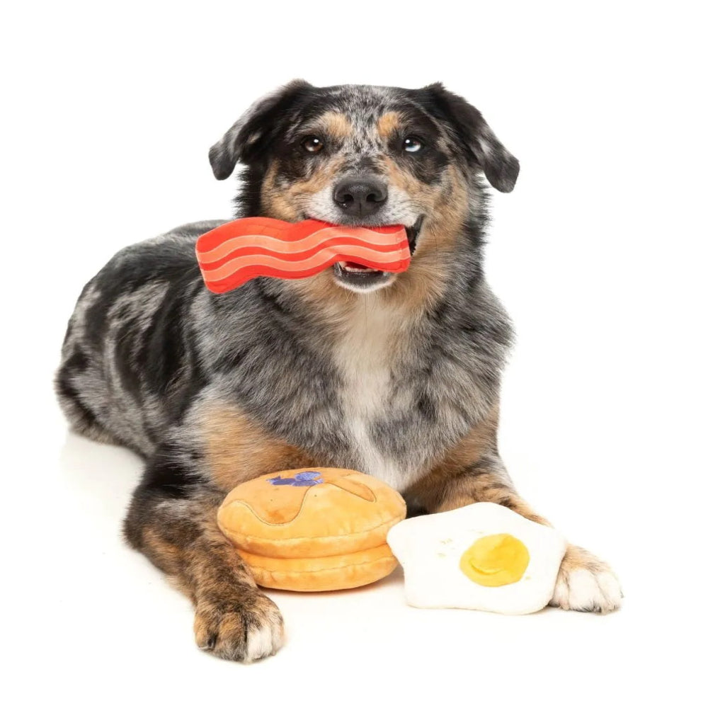 Dog holding a red toy with wavy pattern in its mouth on a white background