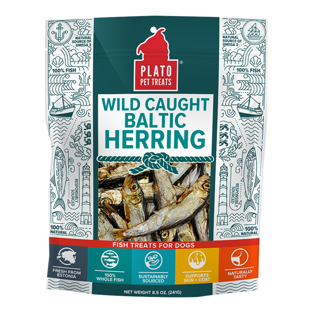 Plato Baltic Herring