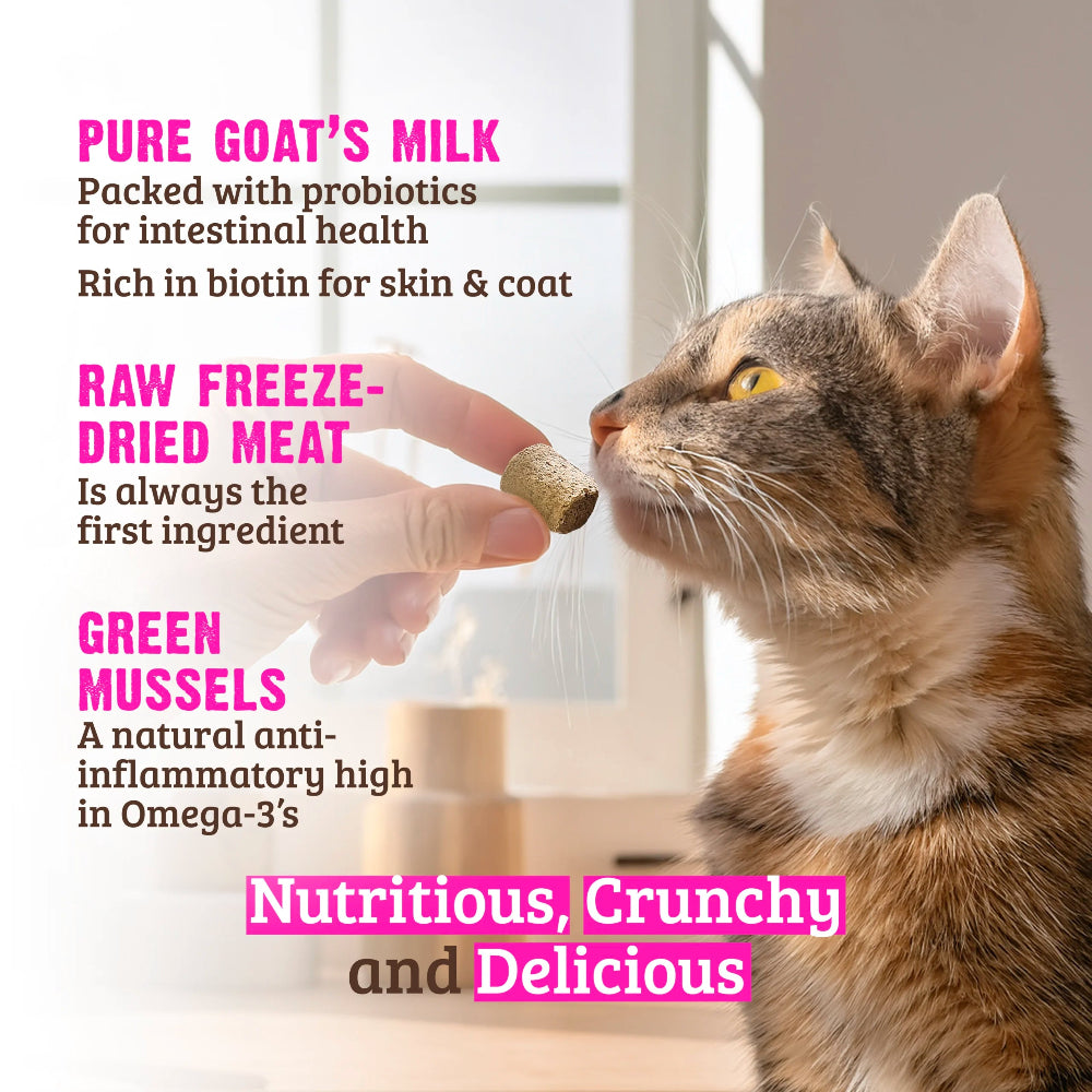 Rawz Cat Freeze-Dried Salmon & Goats Milk 1oz