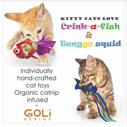 Goli Tenggo Squid