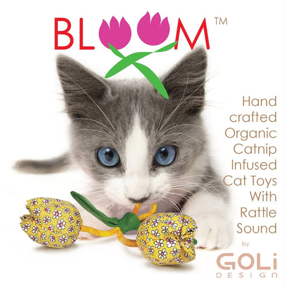 Goli Bloom