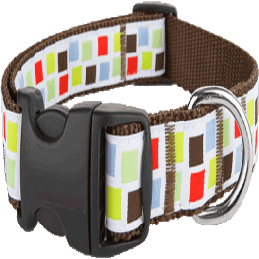 Paw Paws "Block Party" Collar