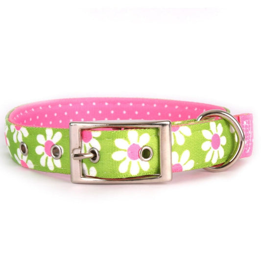 Yellow Dog Design "Uptown" Green Daisy Collar