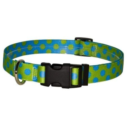 Yellow Dog Design Green & Blue Polka Dot Collar