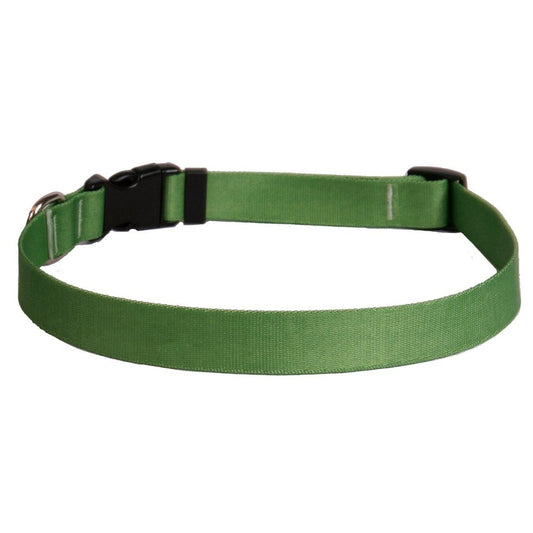 Yellow Dog Design Solid Kelly Green Collar