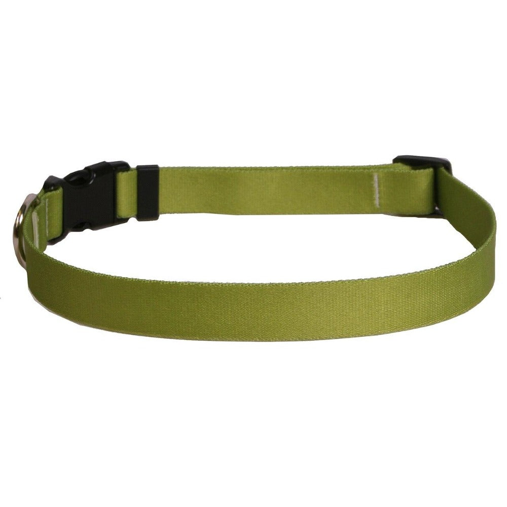 Yellow Dog Design Solid Olive Collar