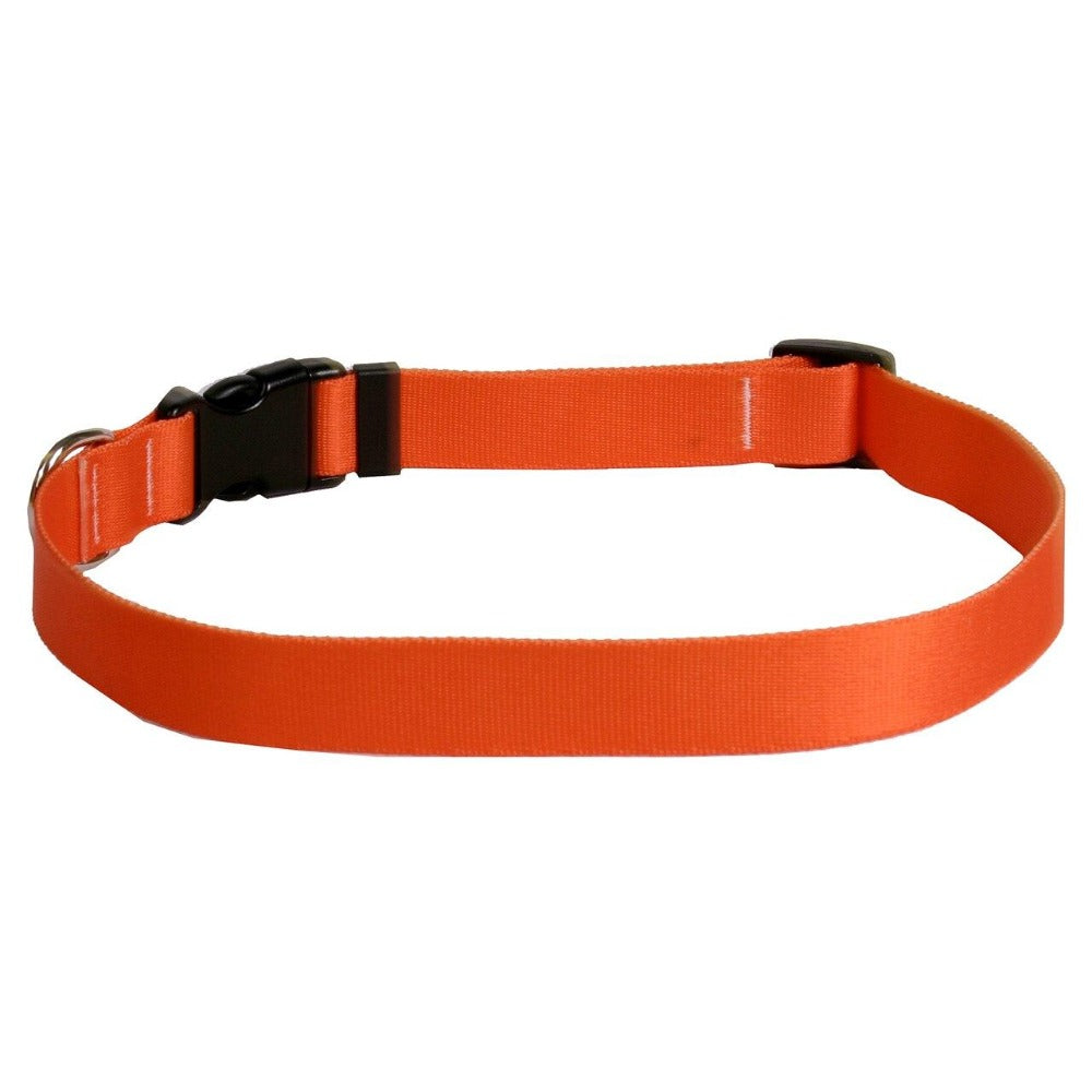 Yellow Dog Design Solid Orange Collar