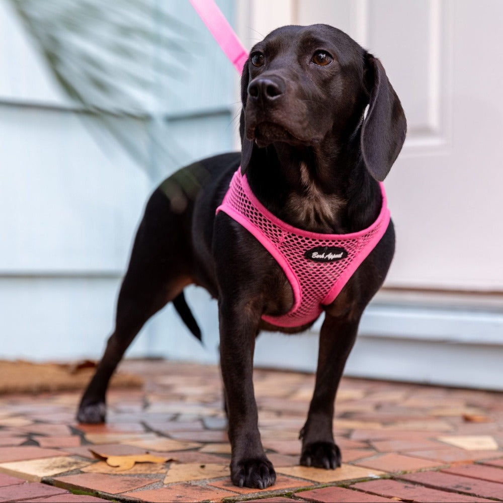 Bark Appeal Netted Step In Harness Pink